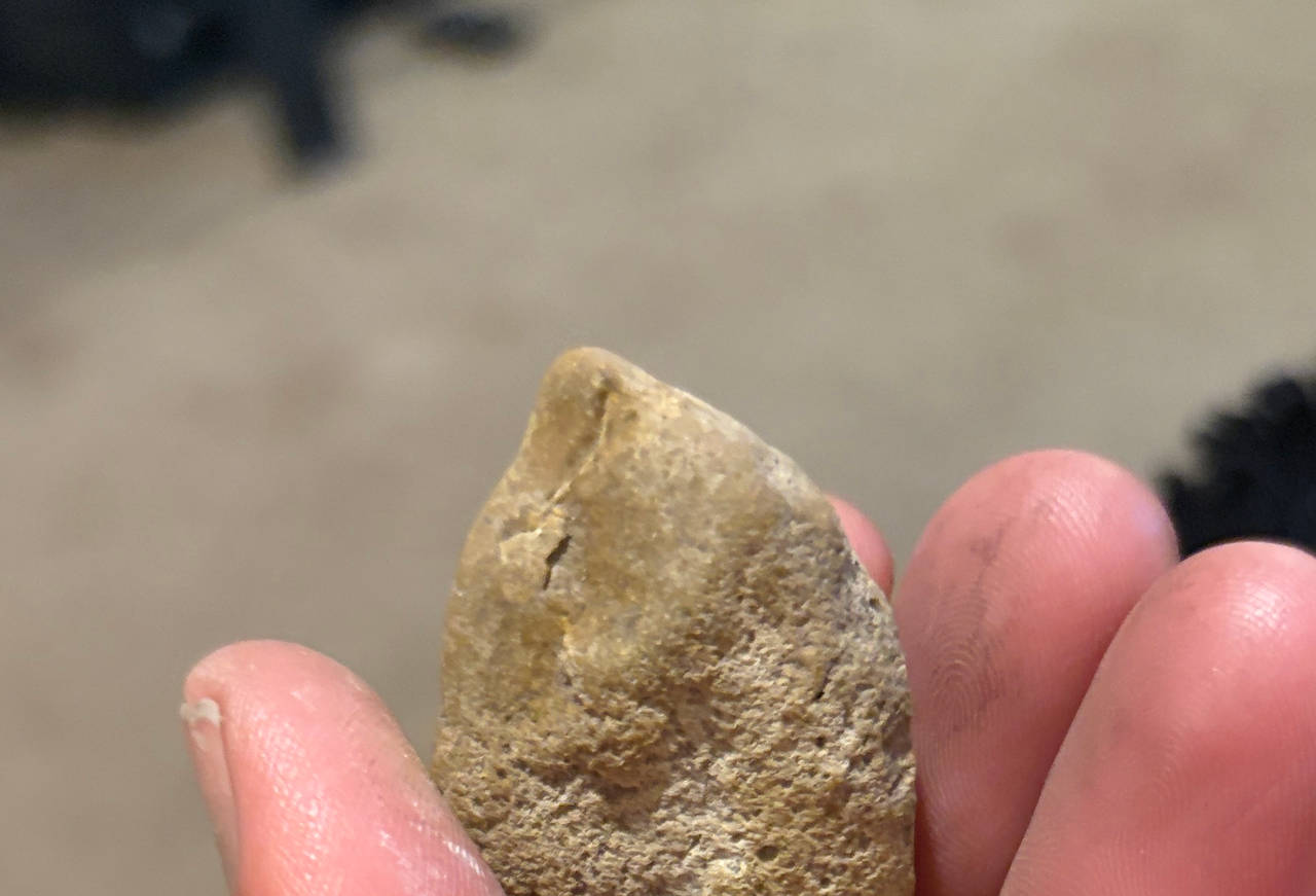 Native American Stone Arrowhead Artifact