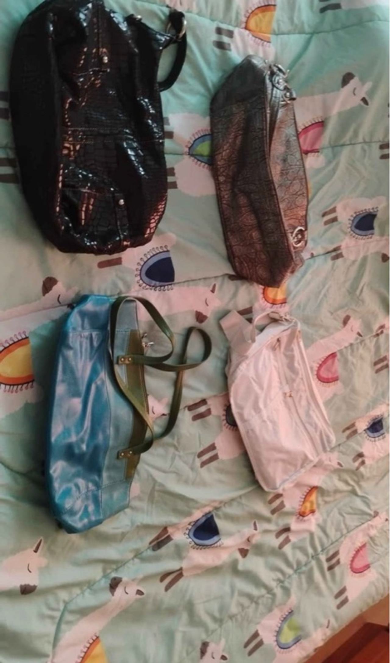 Juicy Couture Purse