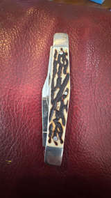 Case XX Stag Bone Folding Pocket Knife - Image 2