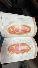 Atlas of Human Anatomy by Frank H. Netter, MD (5th Edition) - Image 5