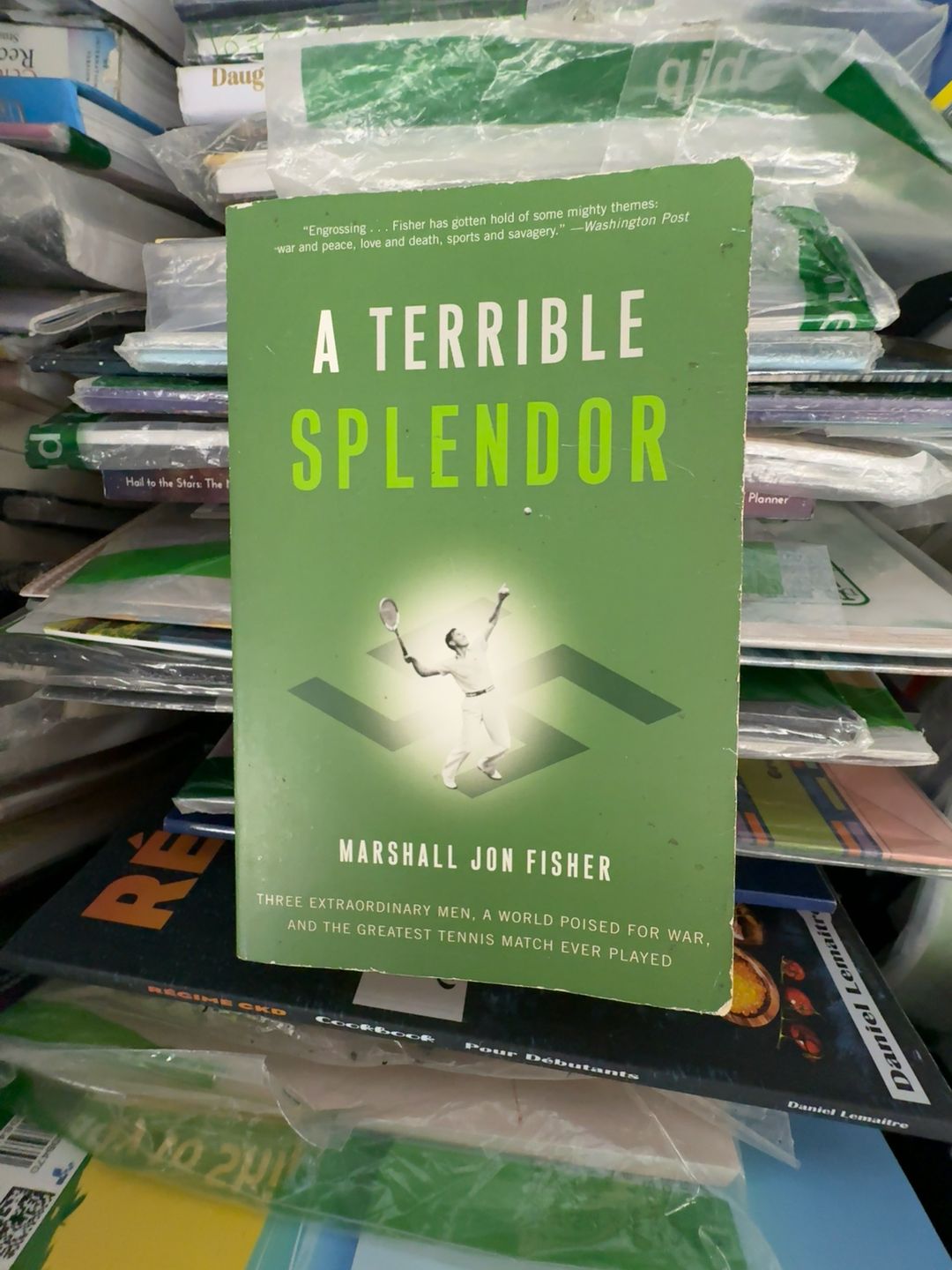 A Terrible Splendor (Paperback)