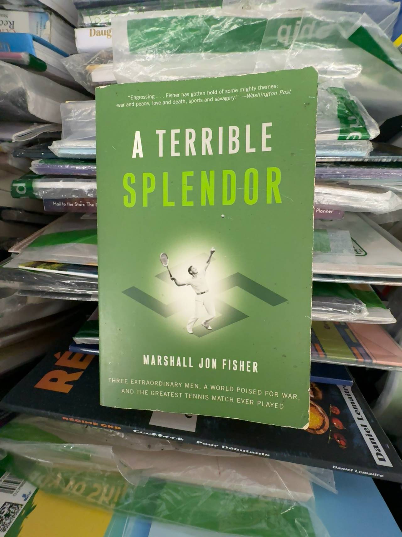 A Terrible Splendor (Paperback)