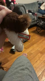 Ty Beanie Baby Spunky the Dog - Image 2