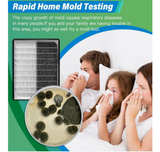 Healthful Home 12-Test Mold Detection Kit - Image 6