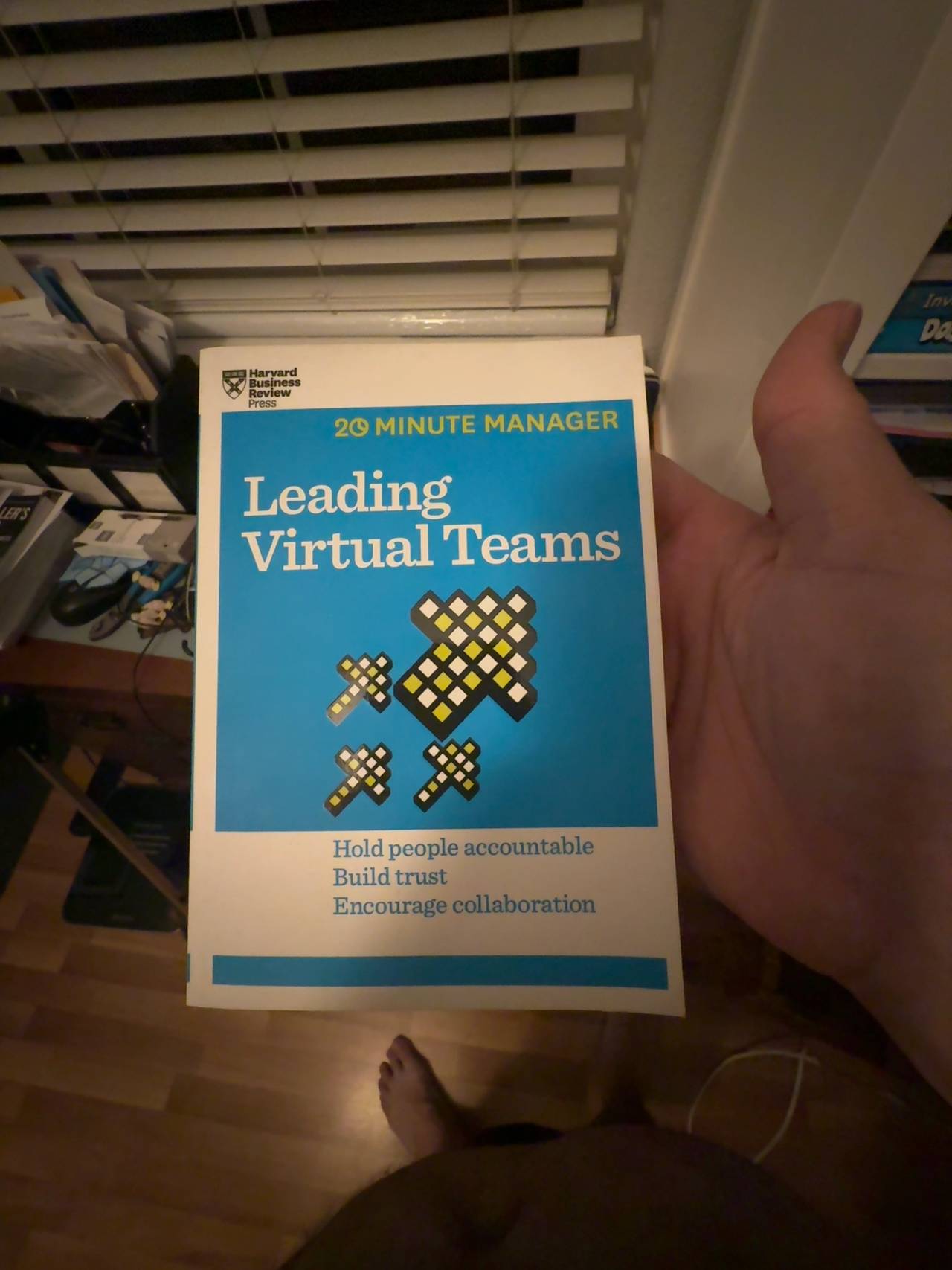 Harvard Business Review The Virtual Manager Collection (3 Books)