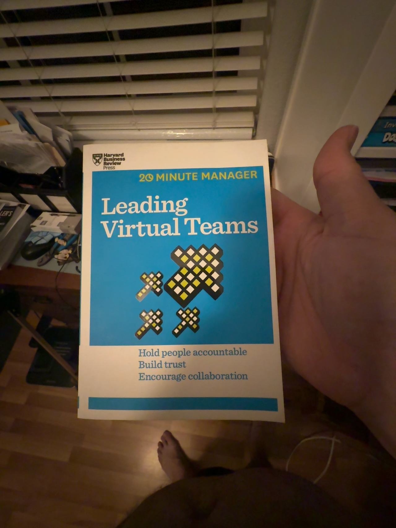 Harvard Business Review The Virtual Manager Collection (3 Books)