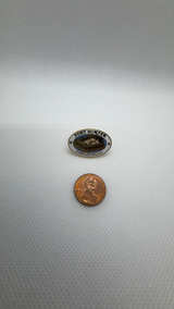 Fort Sumter Charleston S.C. Souvenir Lapel Pin - Image 2