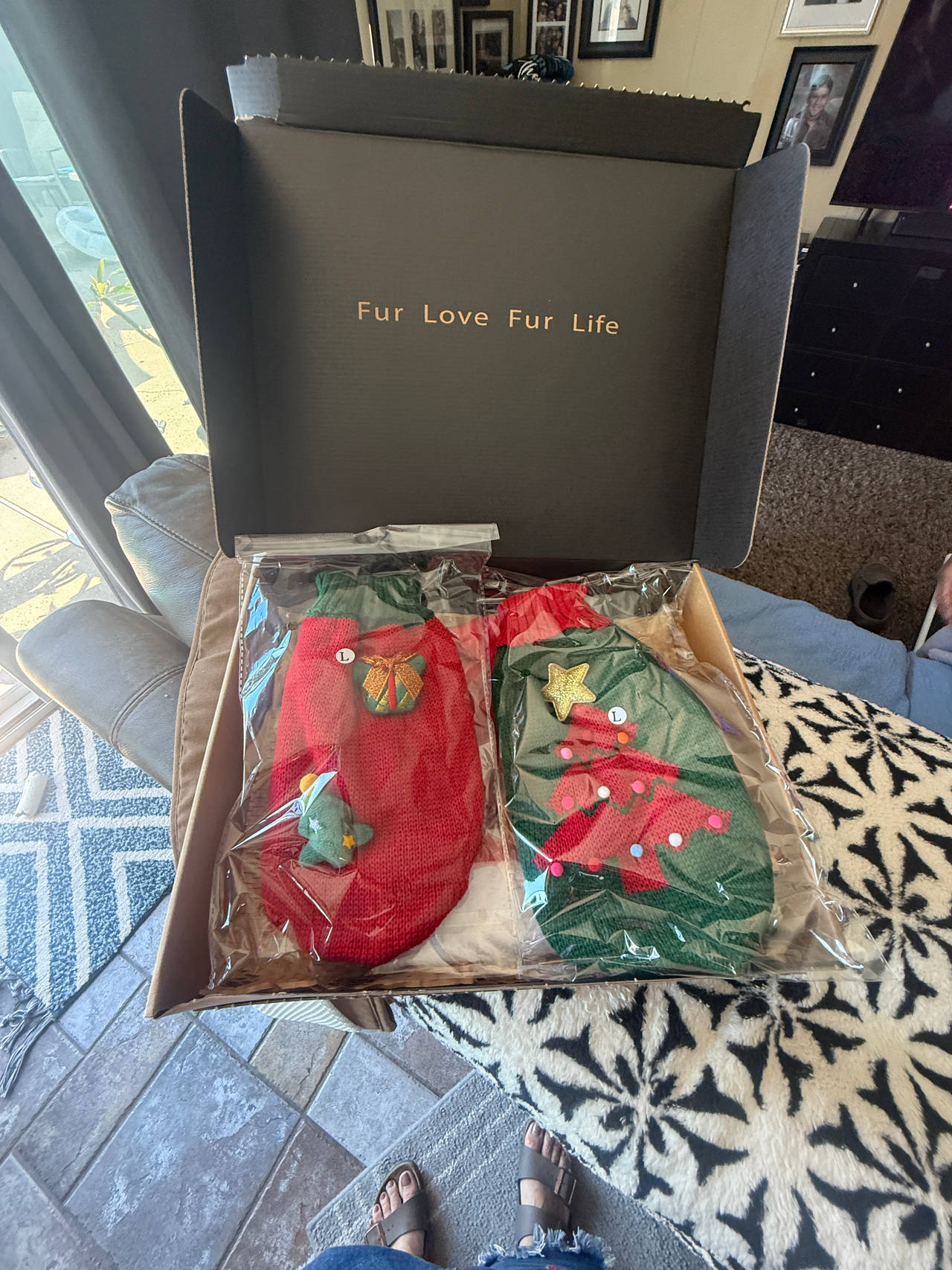 Dog Christmas Sweater Set (Small/Medium)