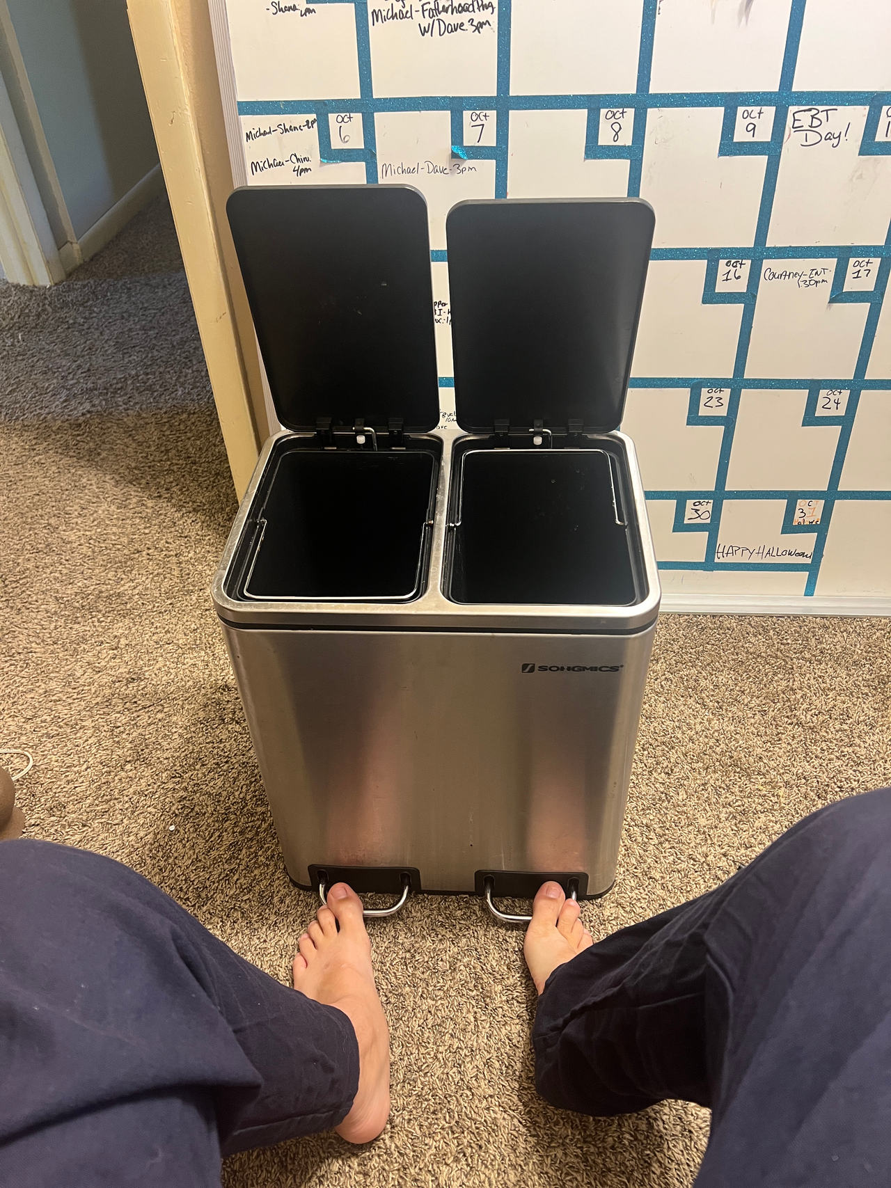 Simplehuman Dual Compartment Rectangular Recycler
