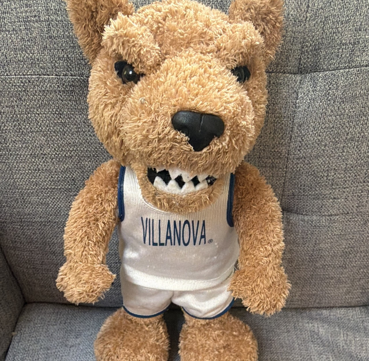 Villanova Wildcats Will D. Cat Mascot Plush