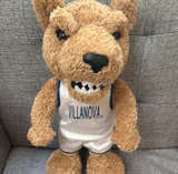 Villanova Wildcats Will D. Cat Mascot Plush - Image 1