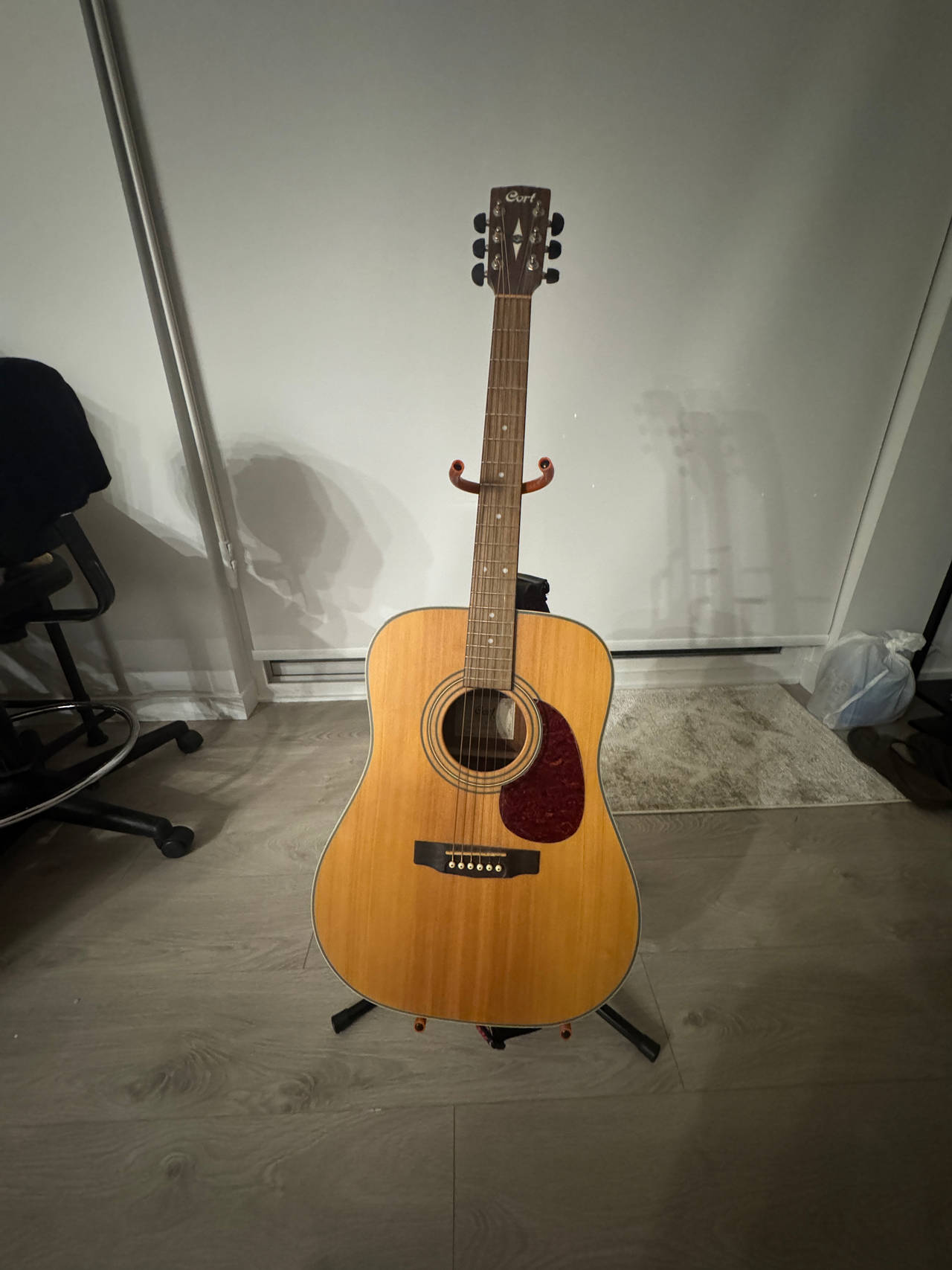 Cort Acoustic Guitar with stand