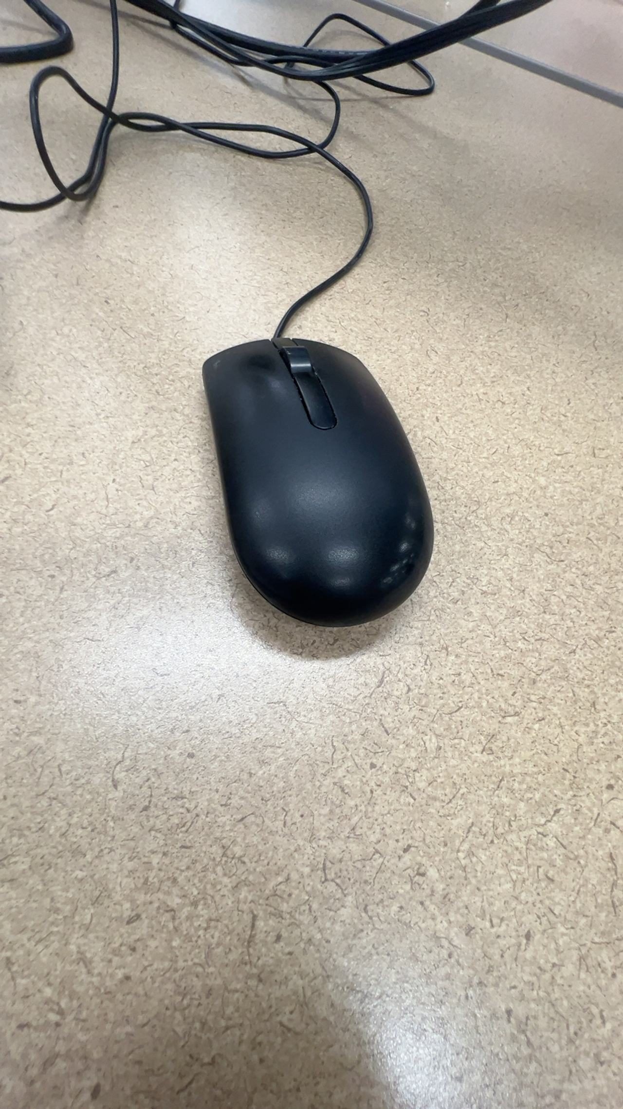 Dell MS116C Optical Wired Mouse Black