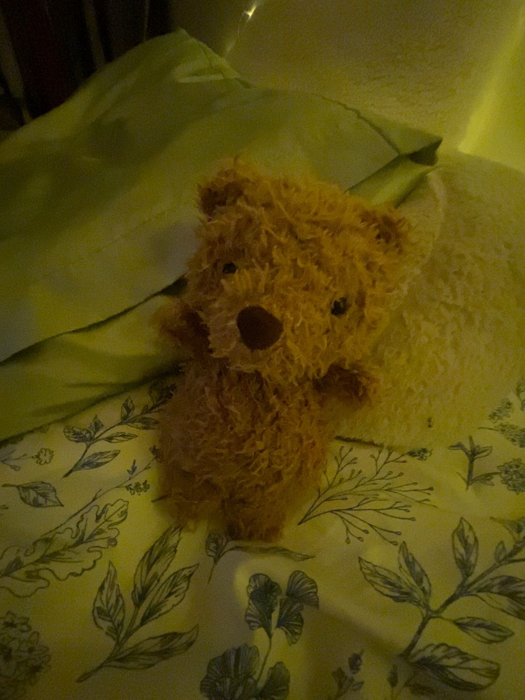 Jadees Shaggy Teddy Bear Plaid Paws 15-inch