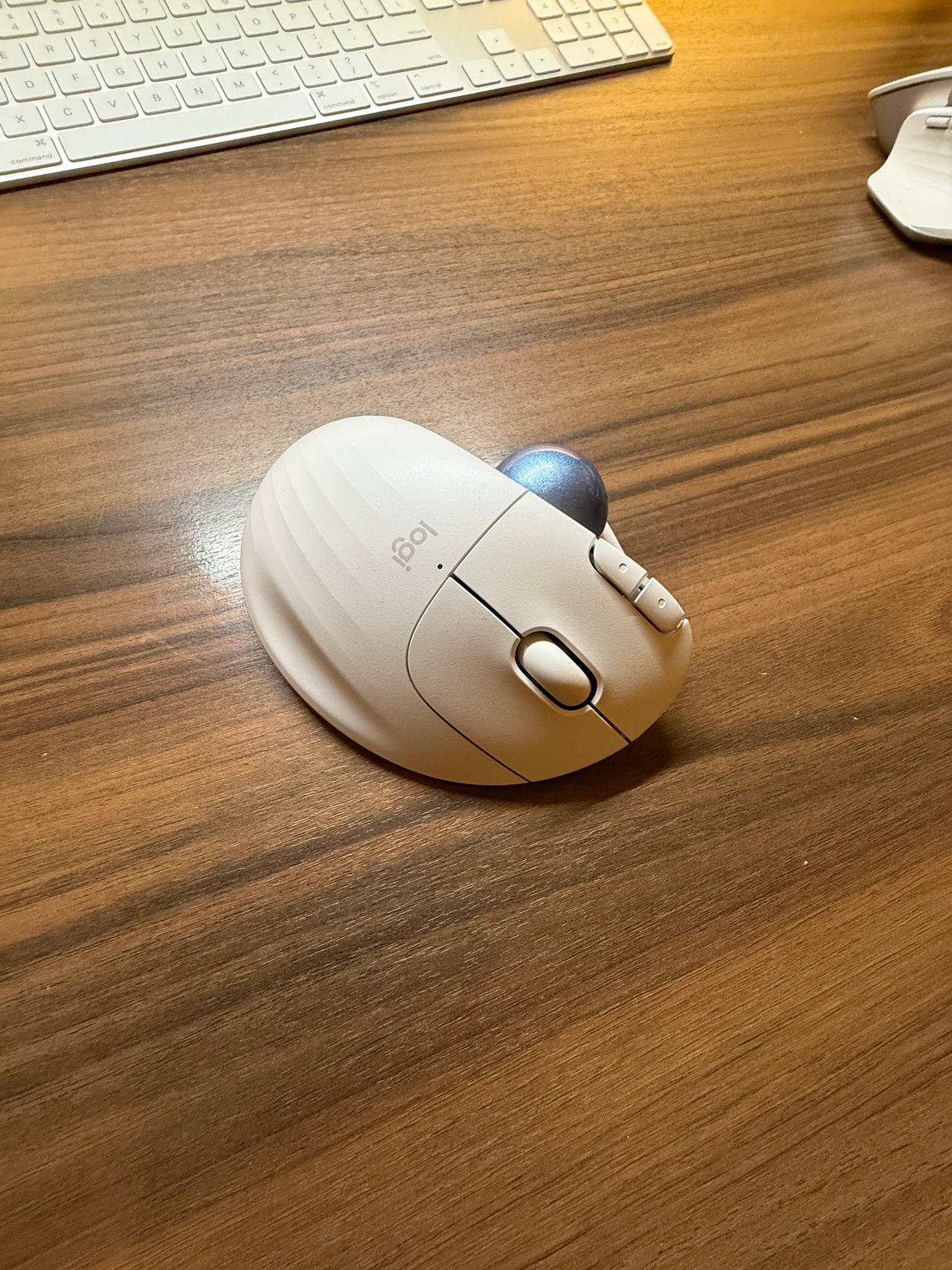 Logitech Ergo M575 Wireless Trackball Mouse