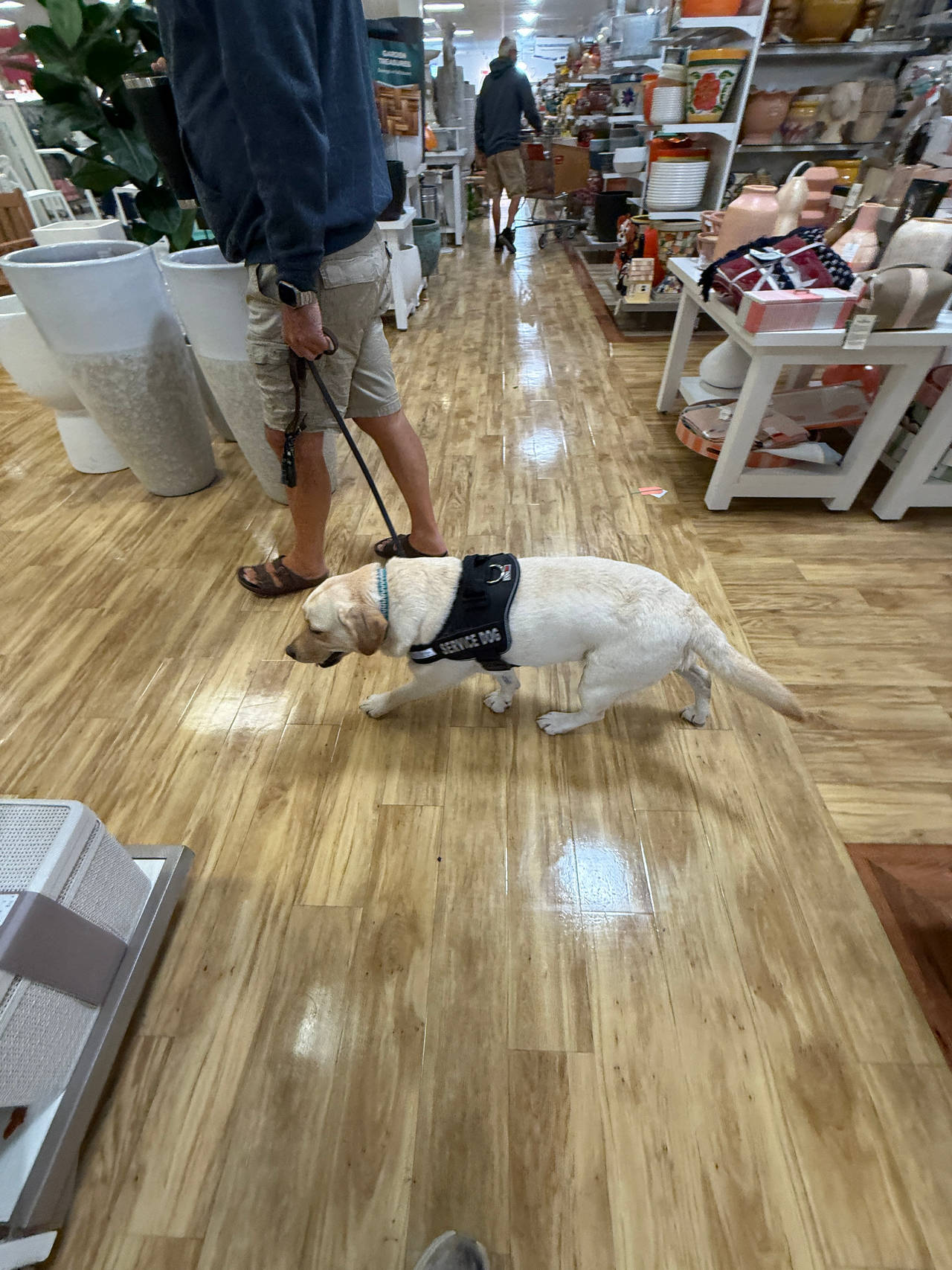 Service Dog Vest Harness