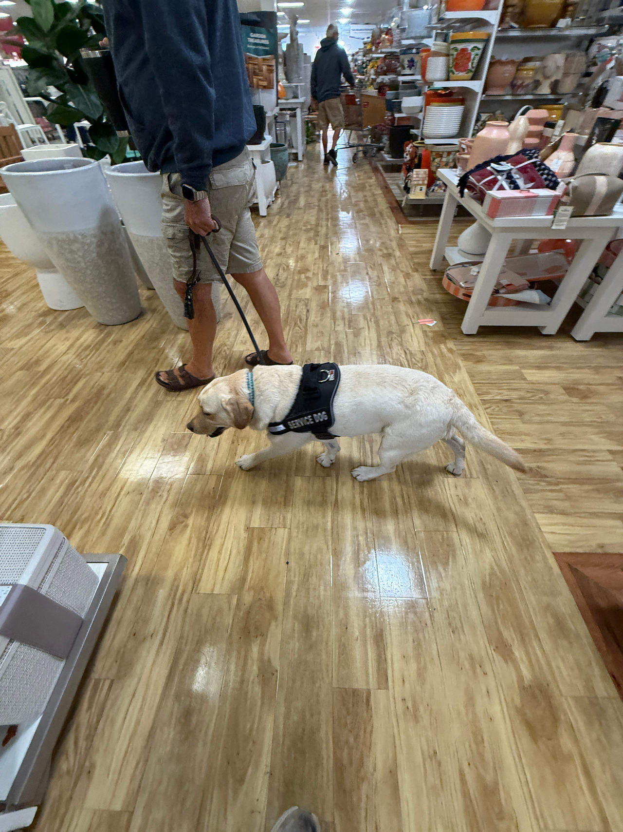 Service Dog Vest Harness