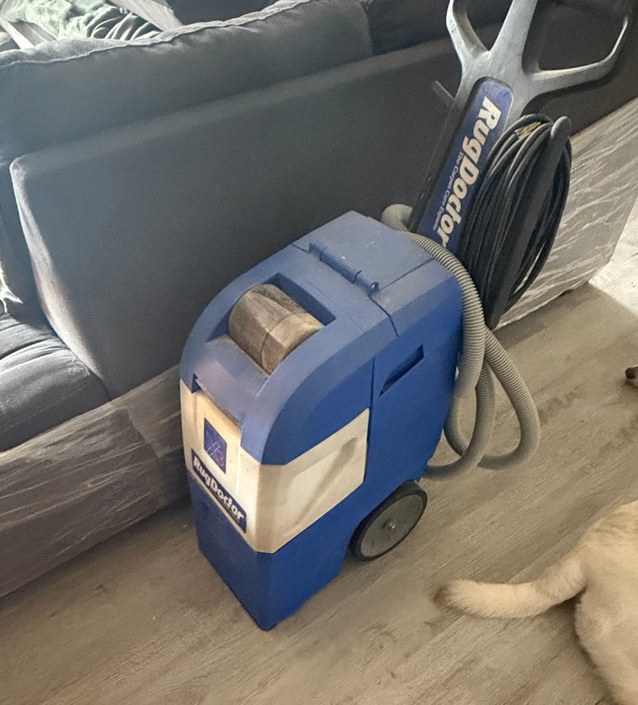 Rug Doctor Mighty Pro Carpet Cleaner