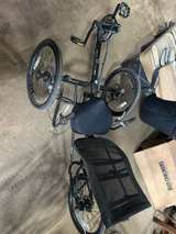Sun Seeker Eco Tad SX Recumbent Trike - Image 1