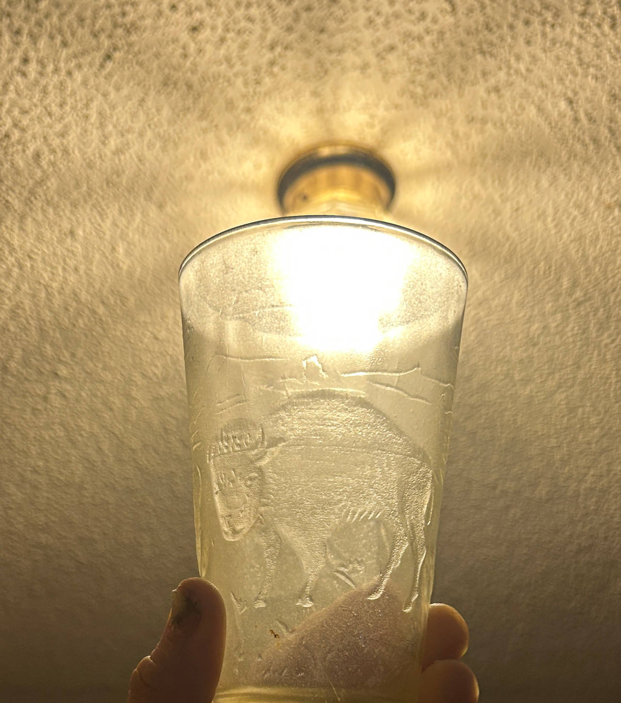 Vintage Buffalo Embossed Glass Tumbler
