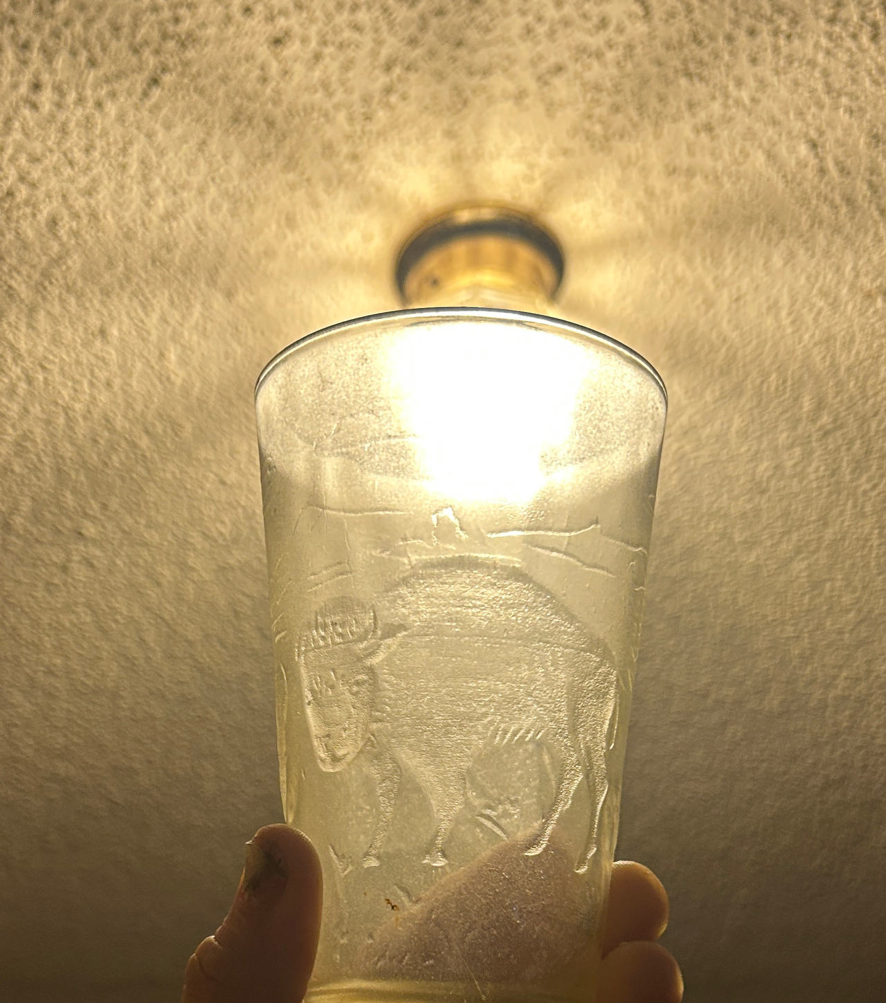 Vintage Buffalo Embossed Glass Tumbler