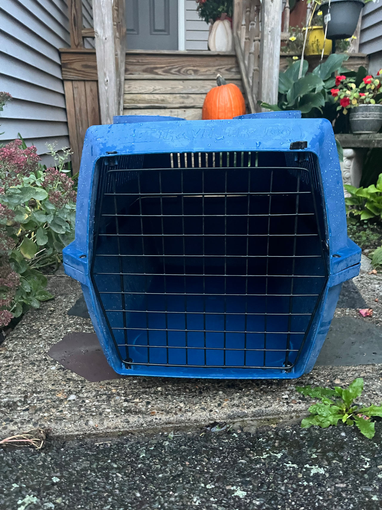 Plastic Pet Carrier