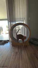 Wooden Cat Exercise Wheel - Image 3