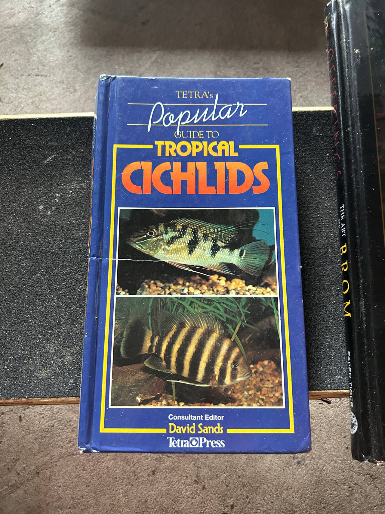 Tetra's Popular Guide to Tropical Cichlids