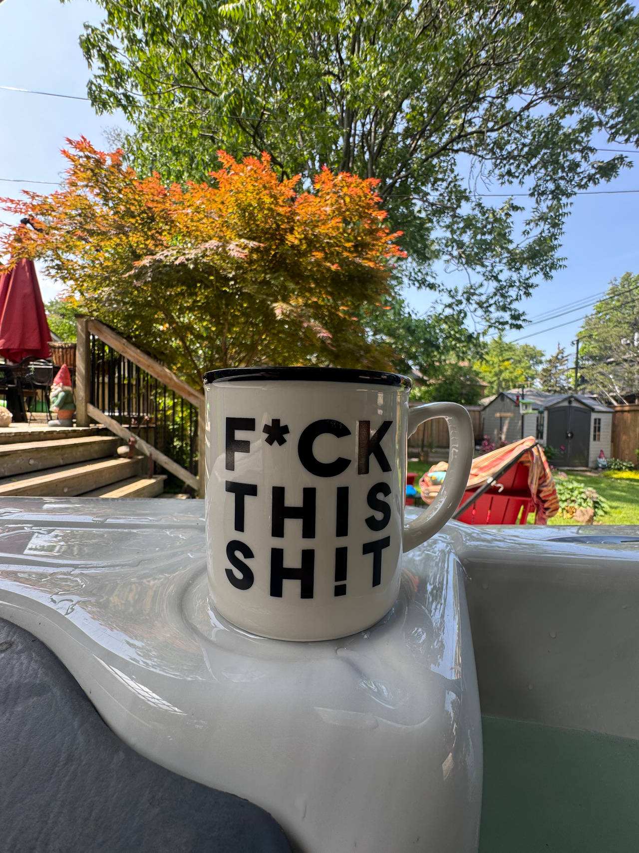 Novelty Mug