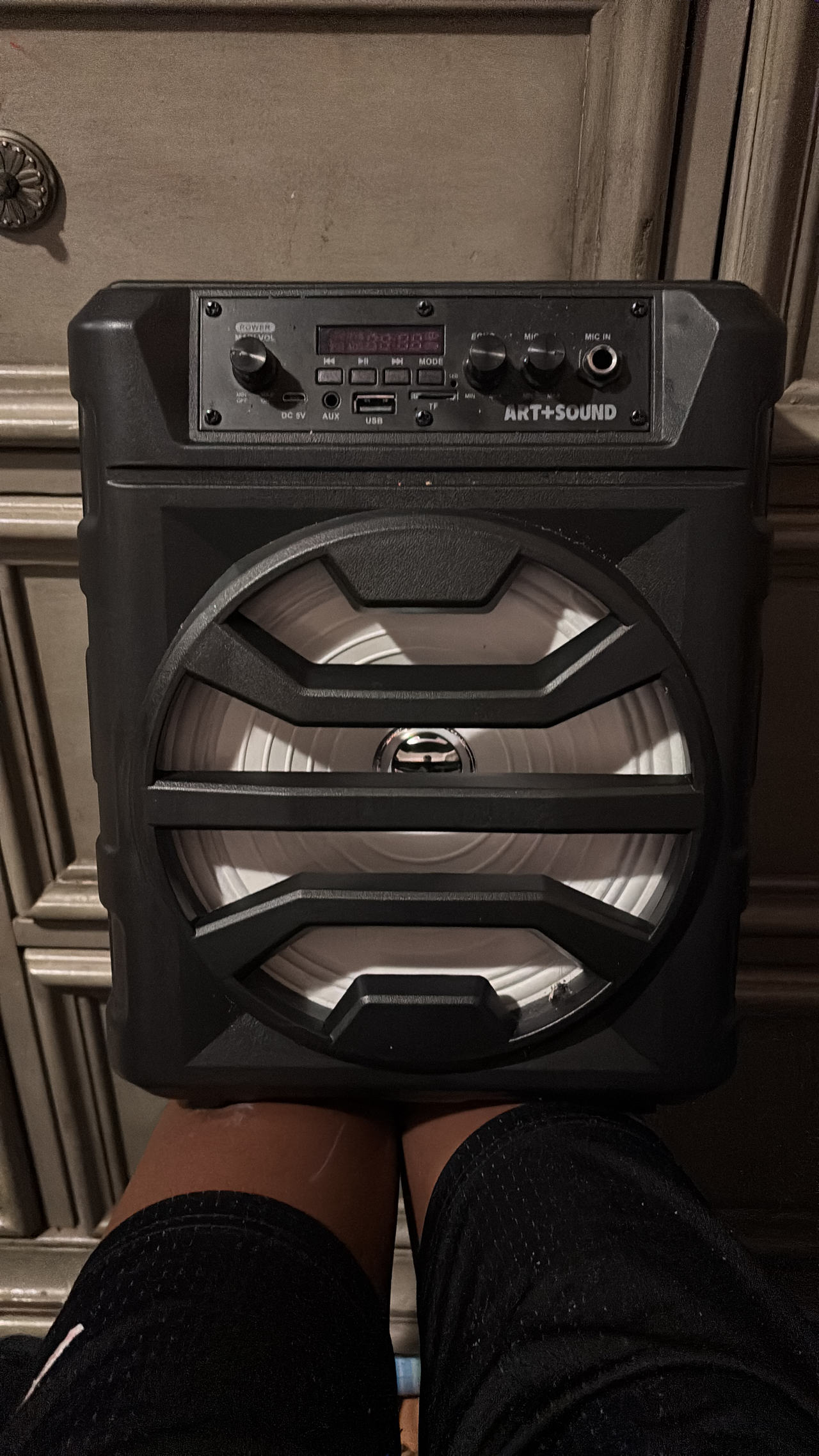 Art+Sound Rugged Bluetooth Party Speaker