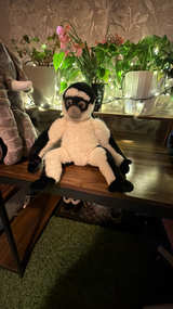 Jellycat Bashful Lemur - Image 2
