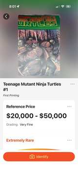 Teenage Mutant Ninja Turtles #31 (1990) - Image 1
