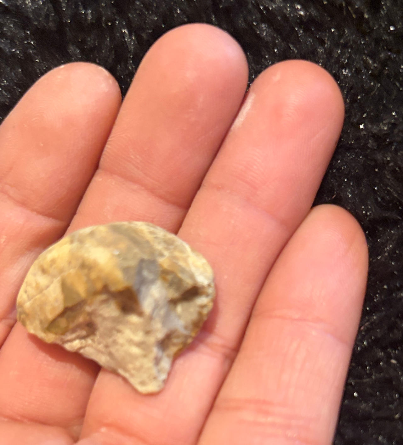 Native American Chert Stone Tool Flake