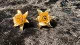 Vintage Gold Tone Rose Earrings - Image 3