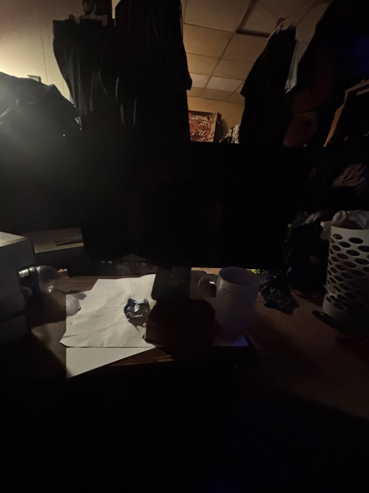 computer monitor
