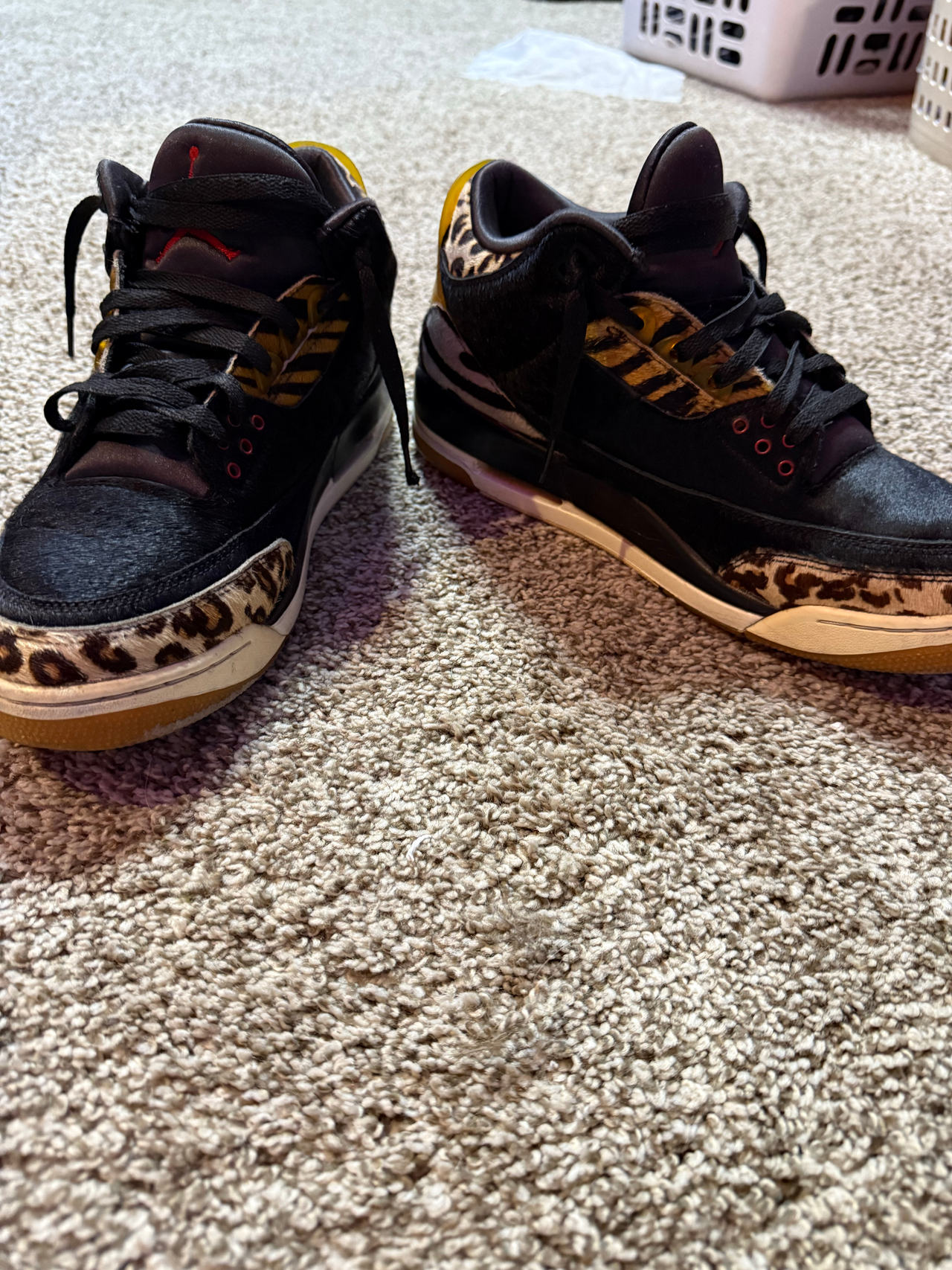 Air Jordan 3 Retro SE Animal Instinct