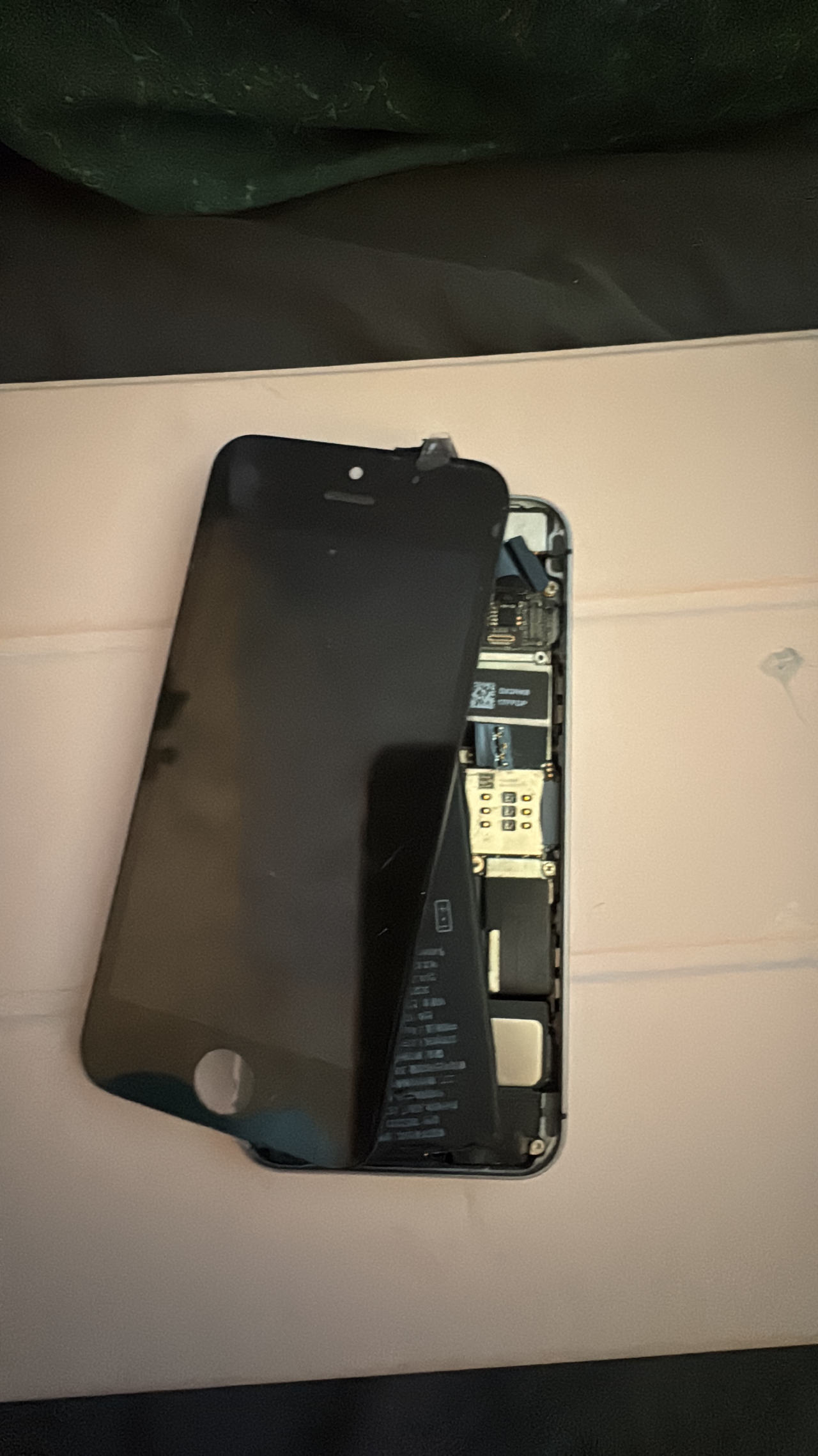 iPhone 5