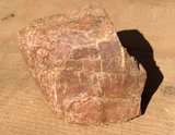 Petrified Wood Raw Specimen - Image 2