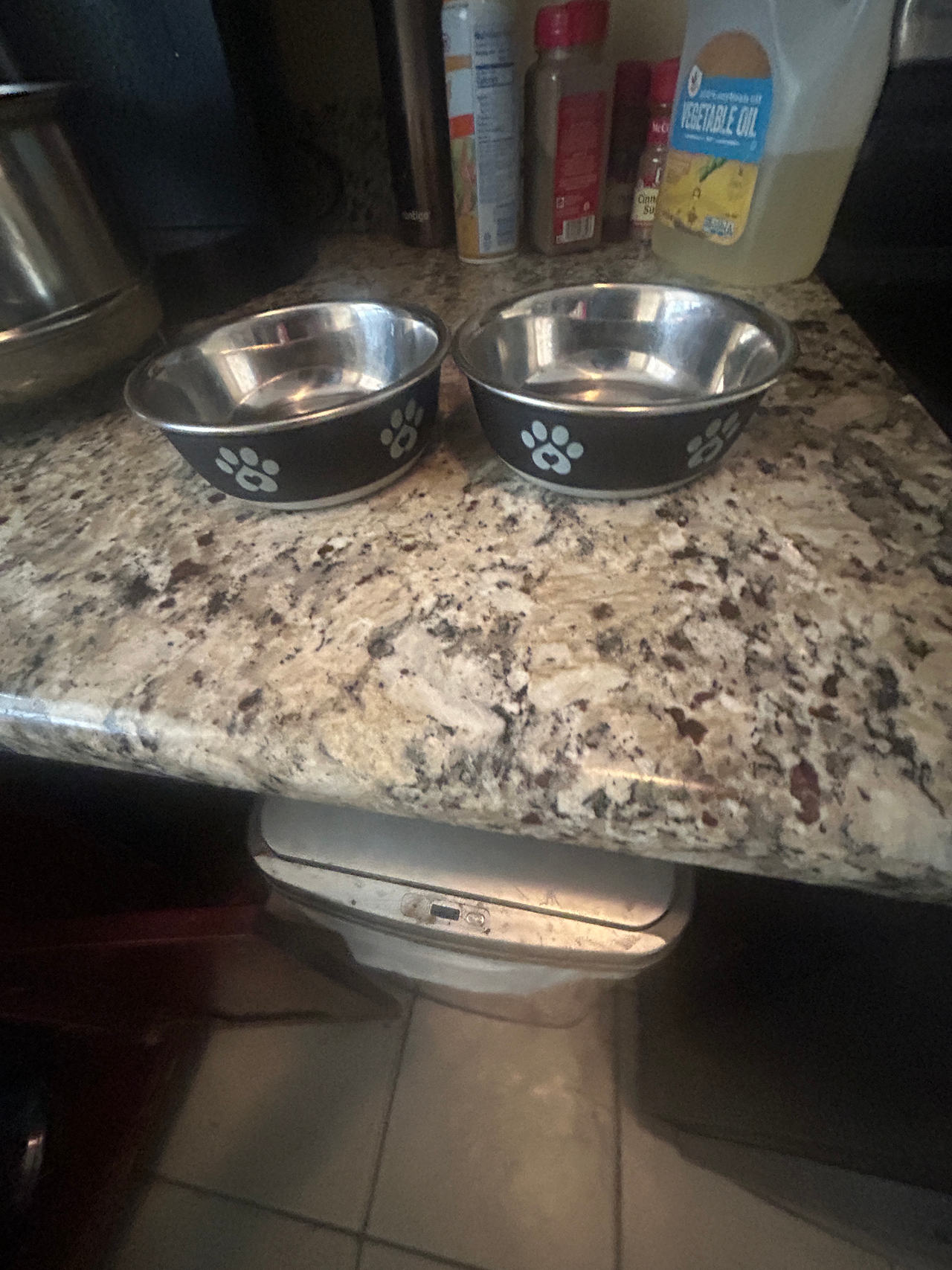Stainless Steel Pet Bowls