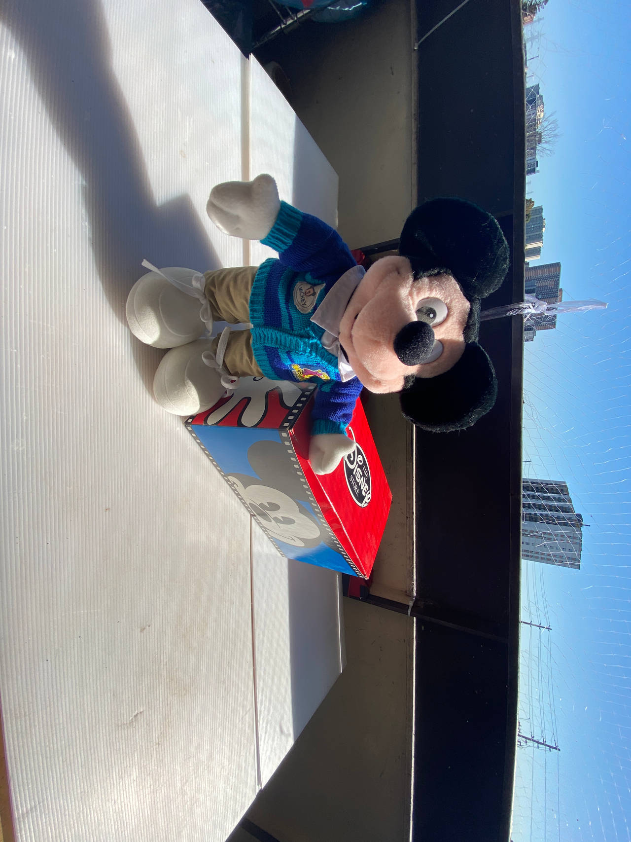 Mickey Mouse Plush