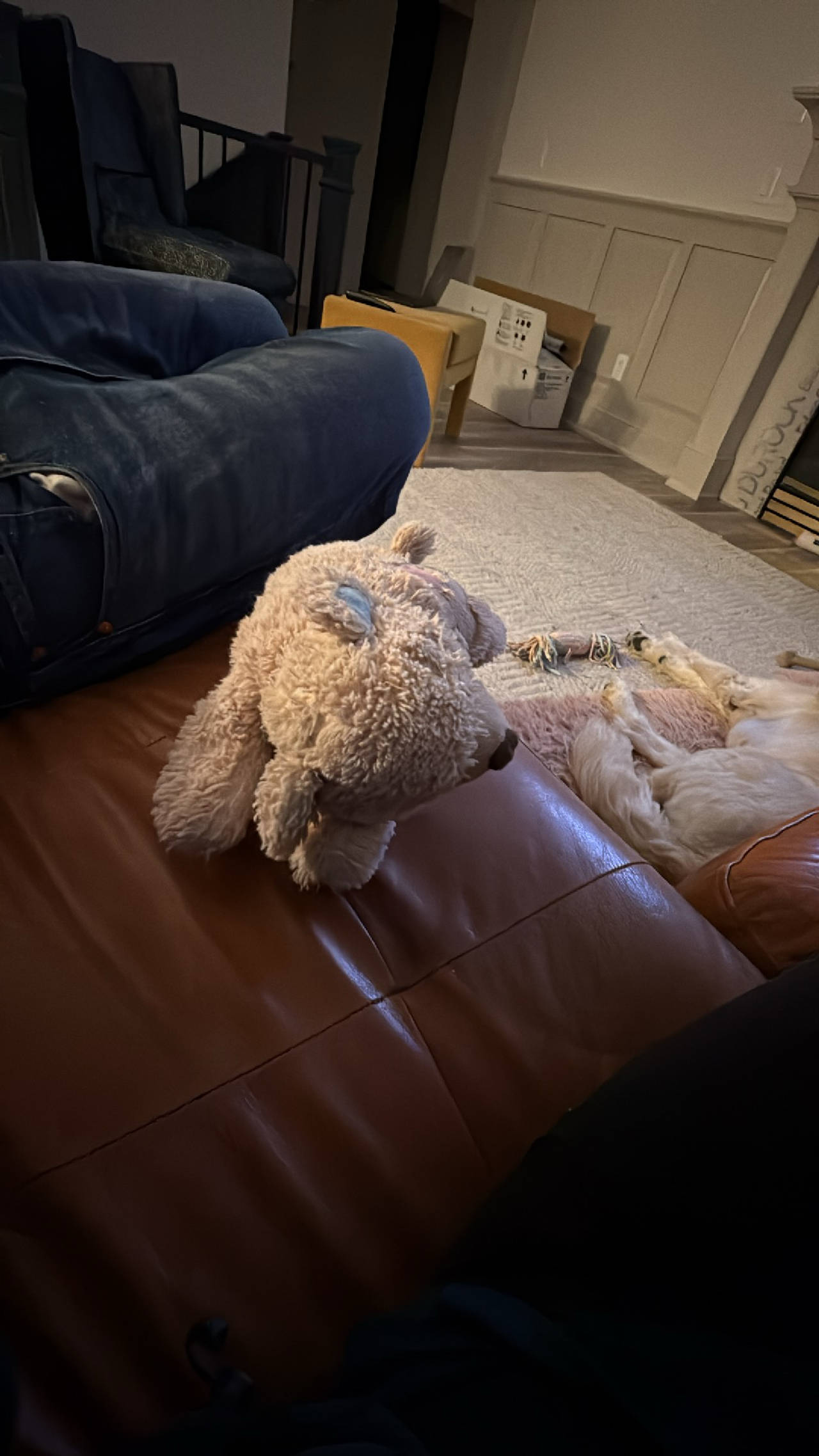Plush Dog Toy