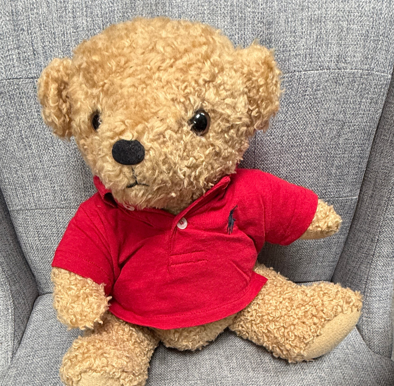 Ralph Lauren Polo Bear Plush