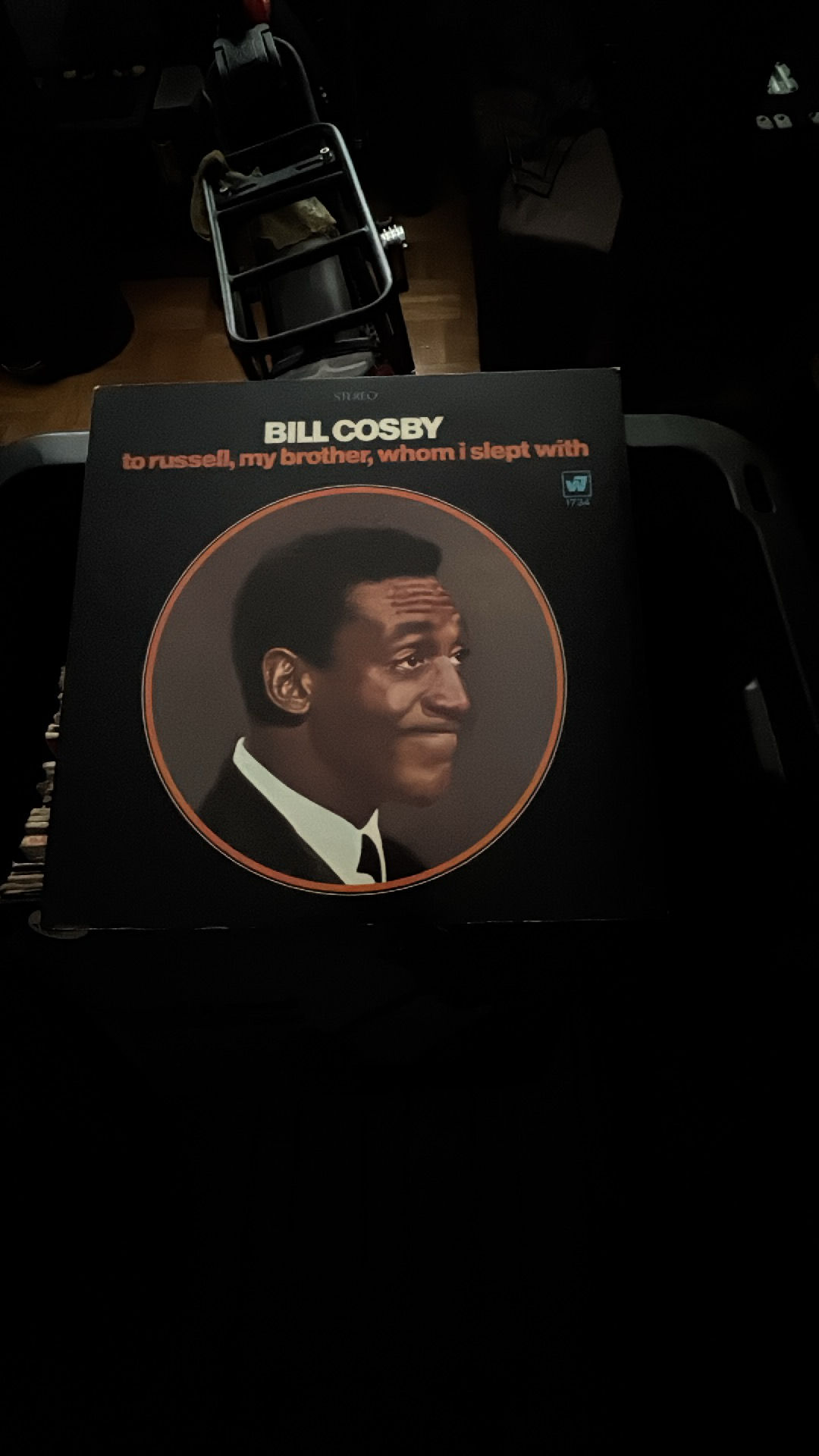 To Russell, My Brother, Whom I Slept With