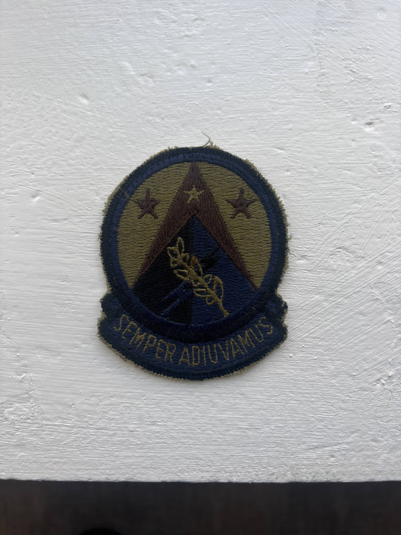 U.S. Air Force Medical Service Patch