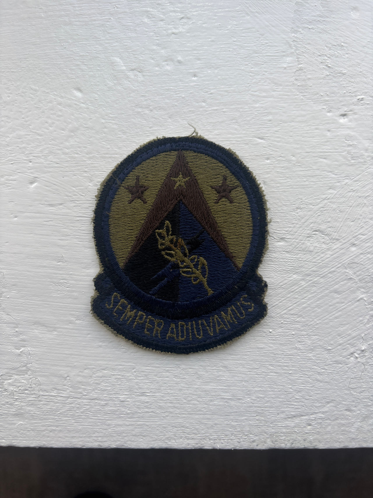 U.S. Air Force Medical Service Patch