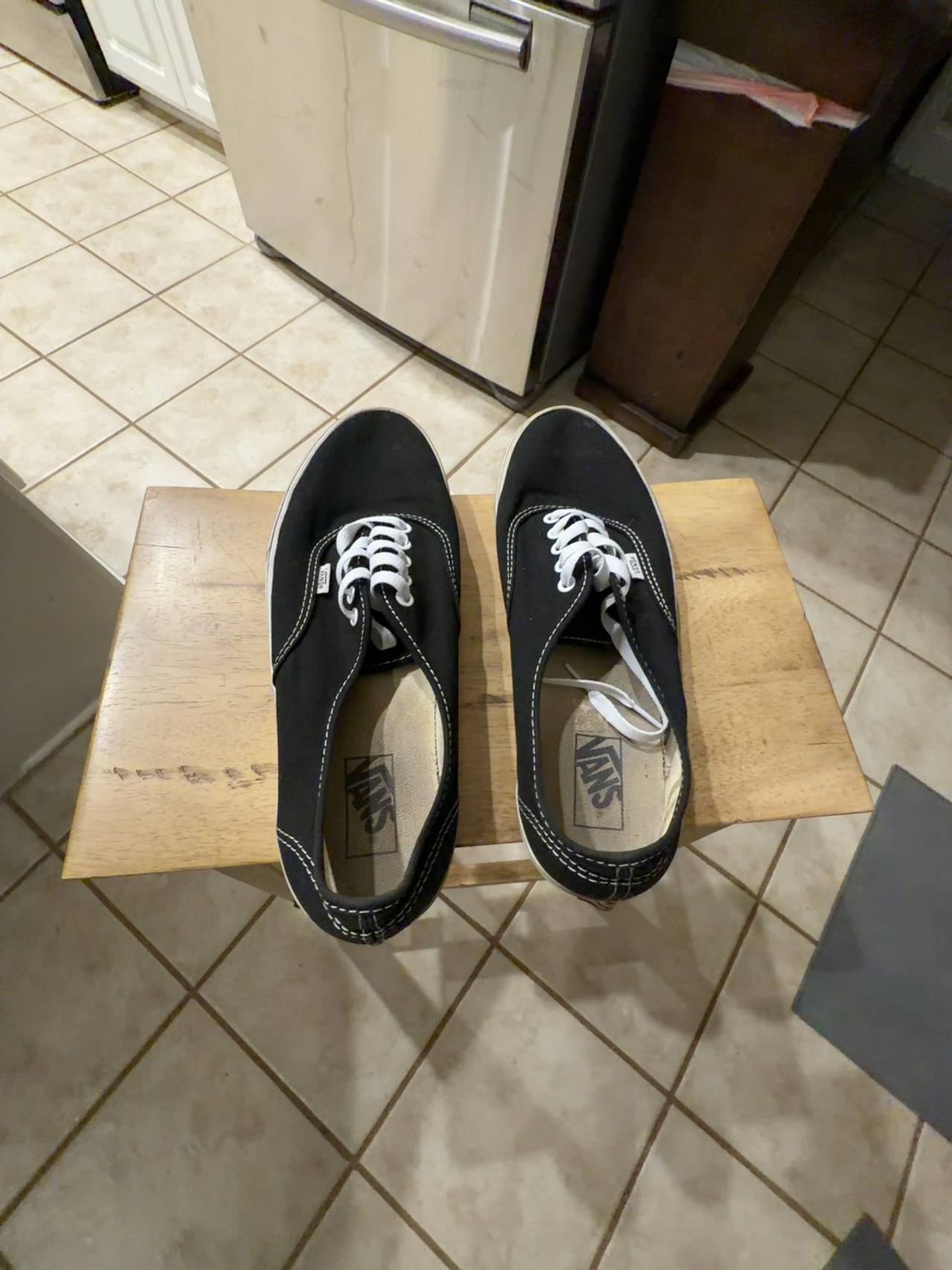 Vans Authentic Black Skate Shoe