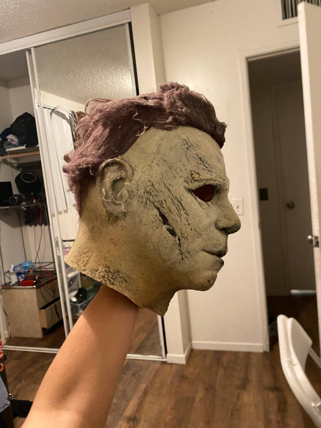 Michael Myers ENDS Mask  