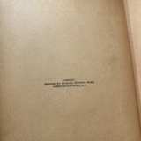 The King's Daughter Hardcover by Pansy - Image 5