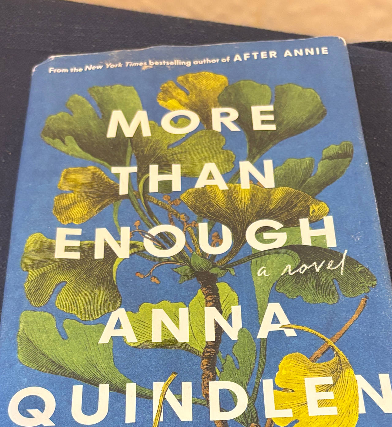 More Than Enough by Anna Quindlen