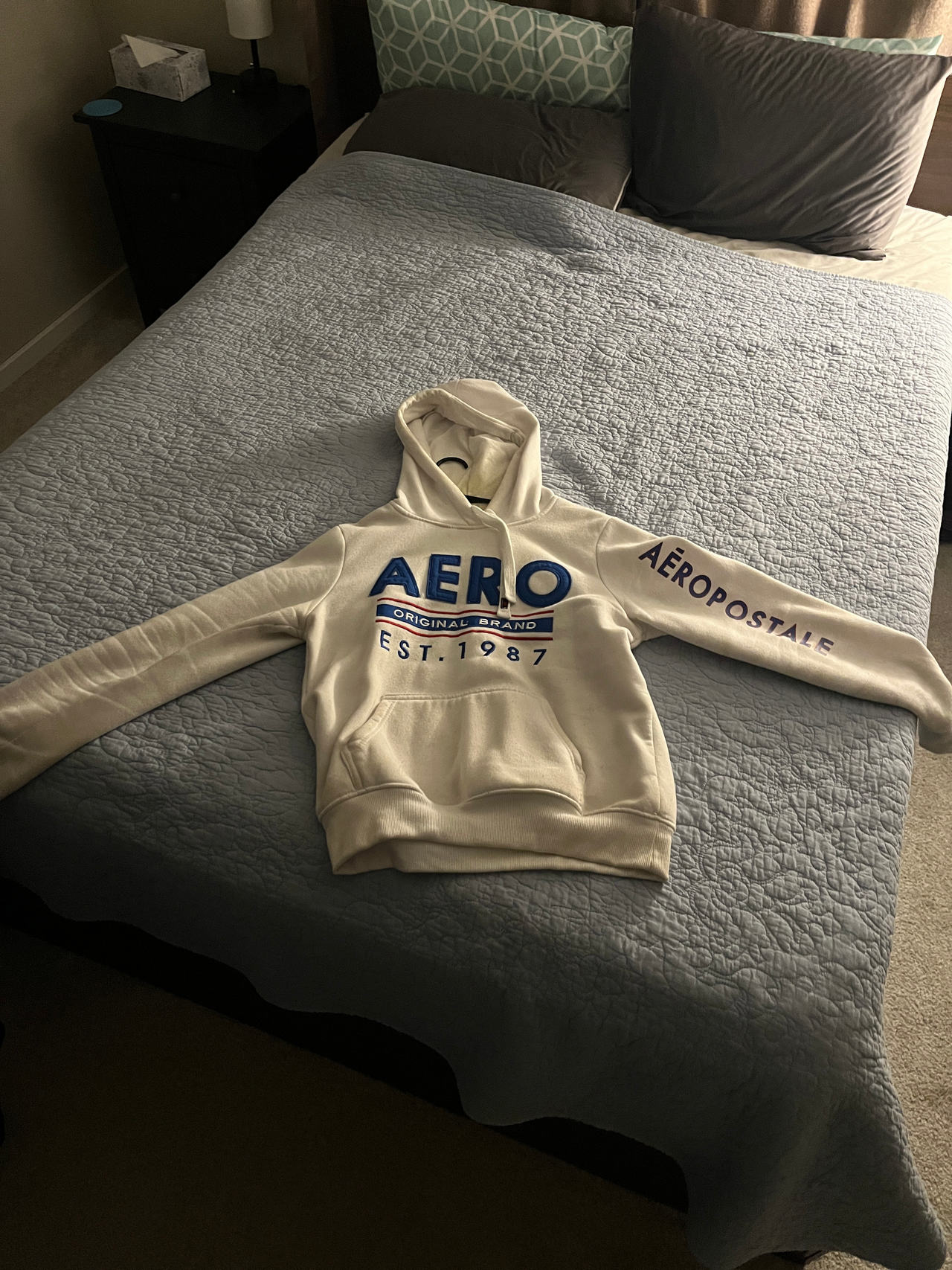 Aeropostale Aero Original Brand Est. 1987 Hoodie